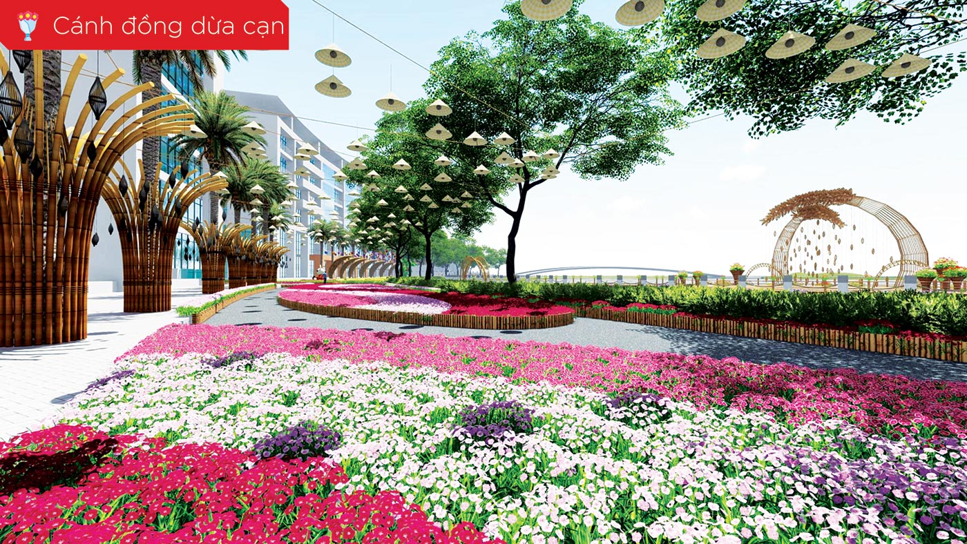 Cánh đồng hoa dừa cạn rực rỡ khoe màu