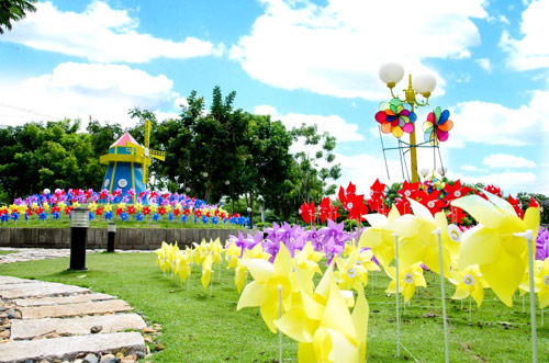 Lung linh vườn chong chóng giữa Sài thành