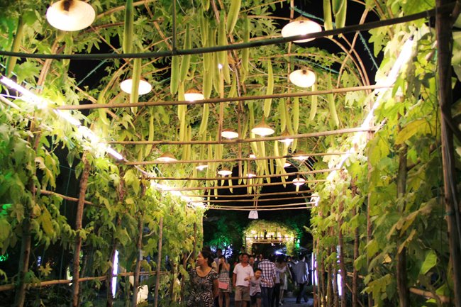 “Hoa đồng cỏ nội” nơi đô thị