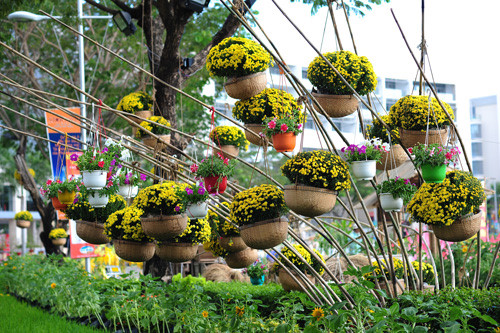 Ấm áp ngày tết cổ truyền Việt Nam