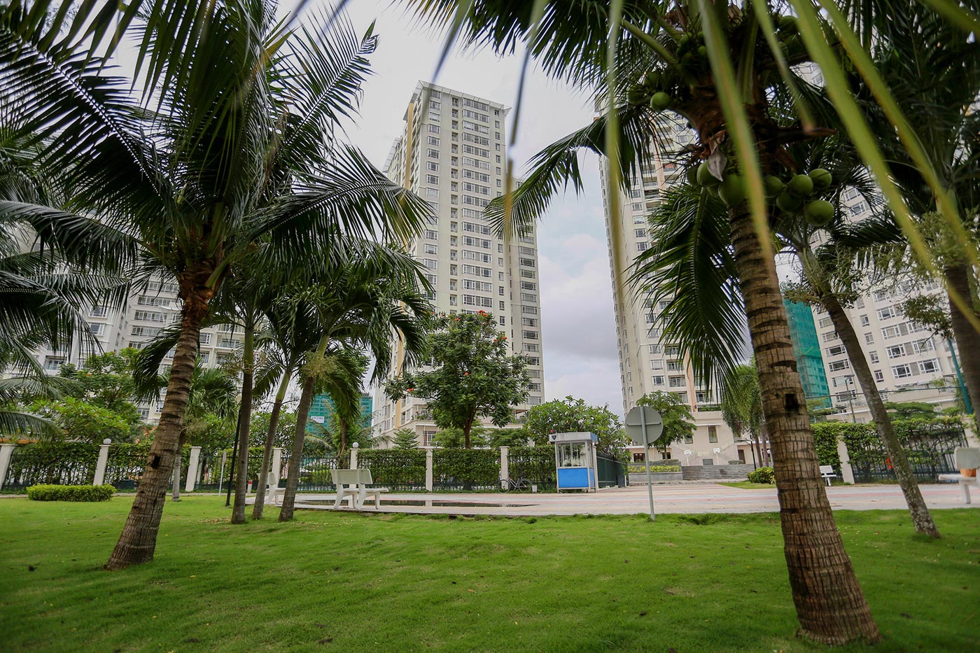 Mảng xanh triệu USD ở Phú Mỹ Hưng